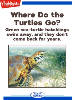 cover image of Where Do the Turtles Go?